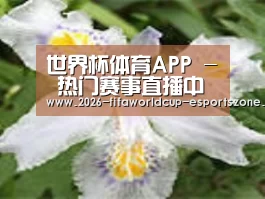 产品名称二
