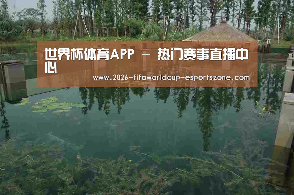 案例展示二