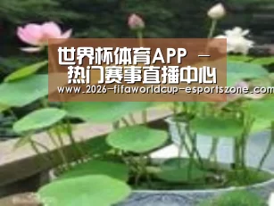 产品名称一