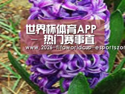 产品名称八