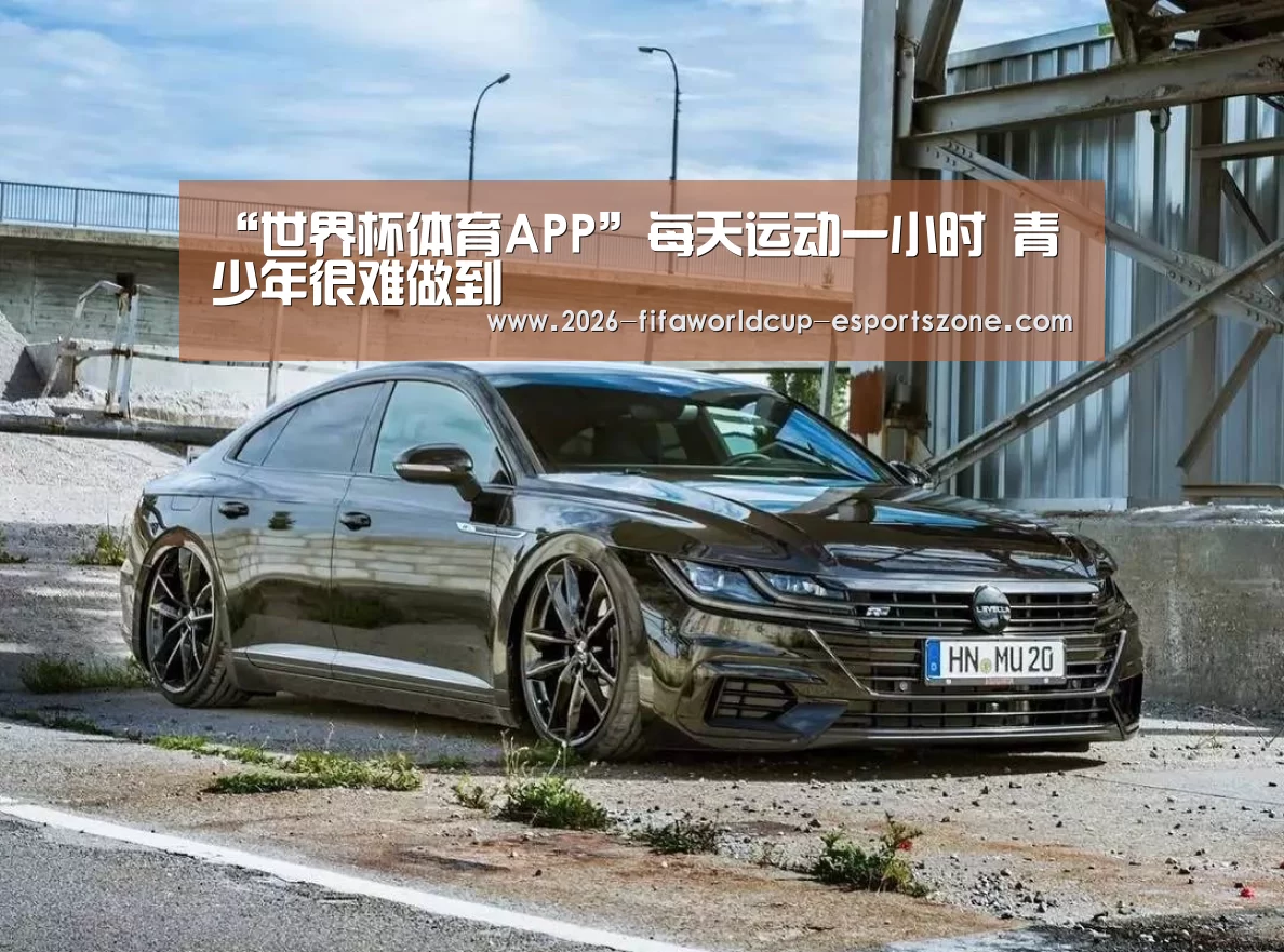 “世界杯体育APP”每天运动一小时 青少年很难做到(图4) 世界杯体育APP