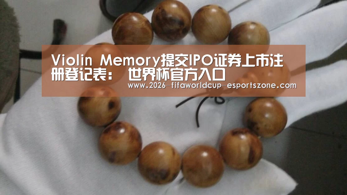 Violin Memory提交IPO证券上市注册登记表: 世界杯官方入口(图1) 世界杯电竞