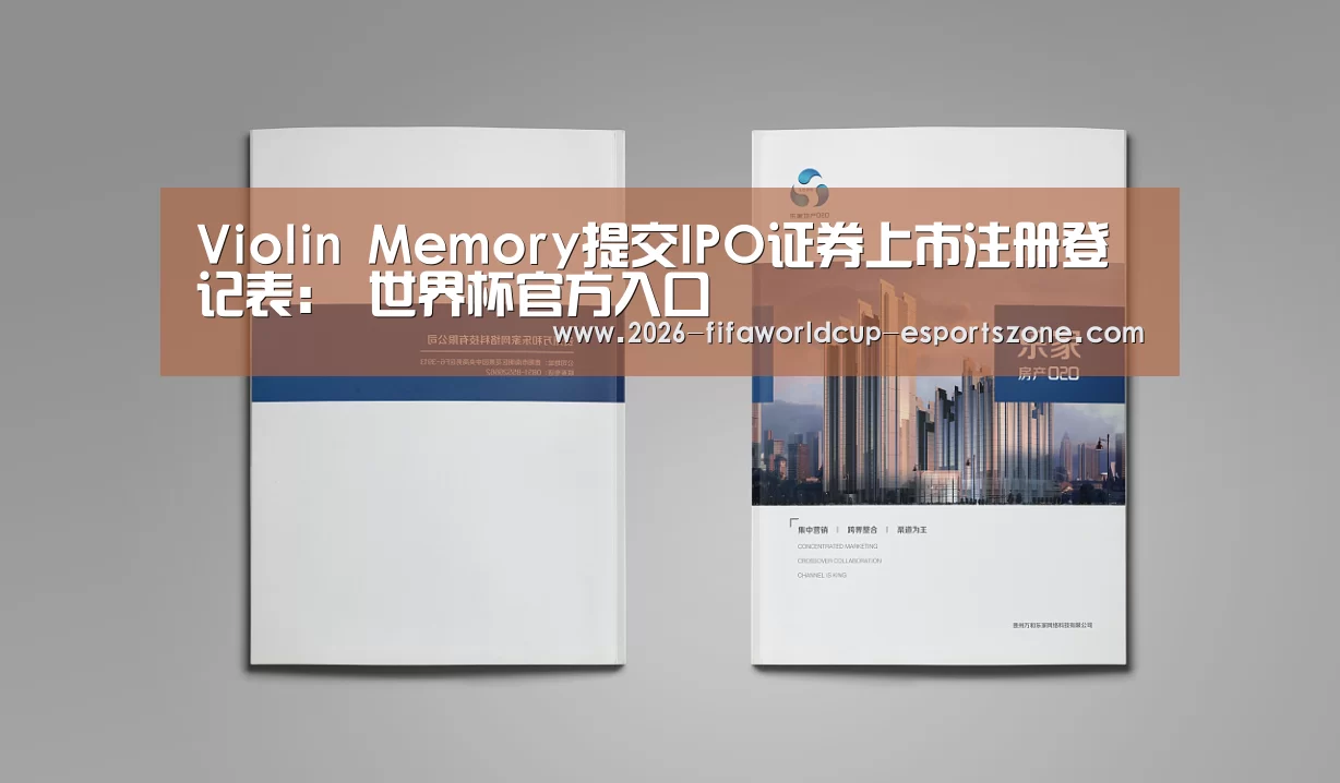 Violin Memory提交IPO证券上市注册登记表: 世界杯官方入口(图3) 世界杯体育APP