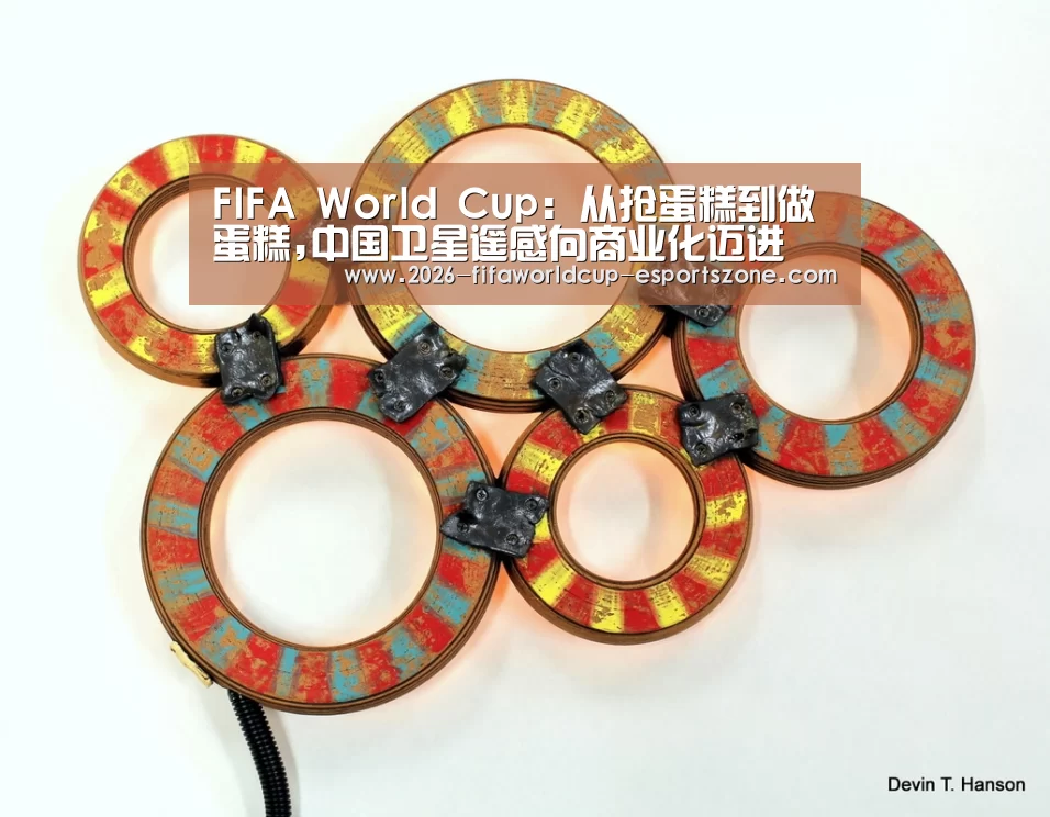 FIFA World Cup:从抢蛋糕到做蛋糕,中国卫星遥感向商业化迈进(图1) 世界杯体育APP