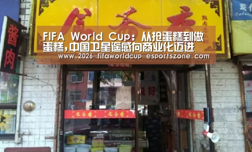 FIFA World Cup:从抢蛋糕到做蛋糕,中国卫星遥感向商业化迈进(图2) 世界杯体育APP